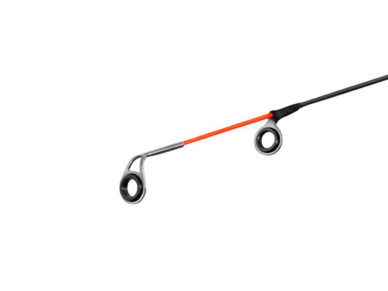 Delphin LEEDER Feeder 3,3m 100g +2 špičky