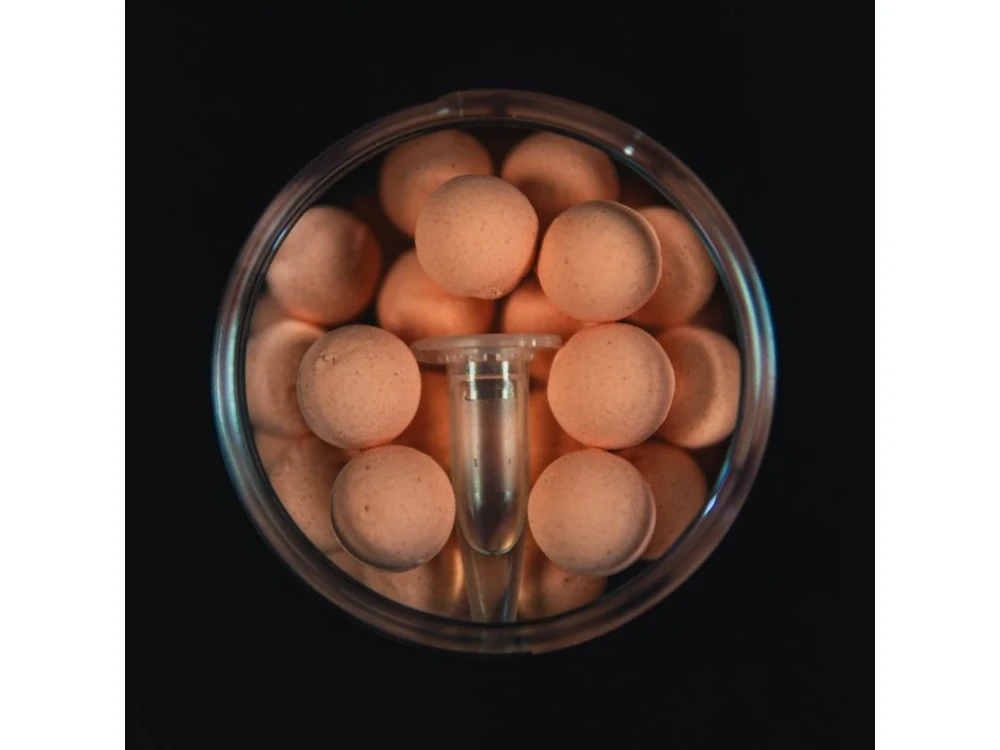 Squat Carp Pop-Up Calanus 16mm 60g