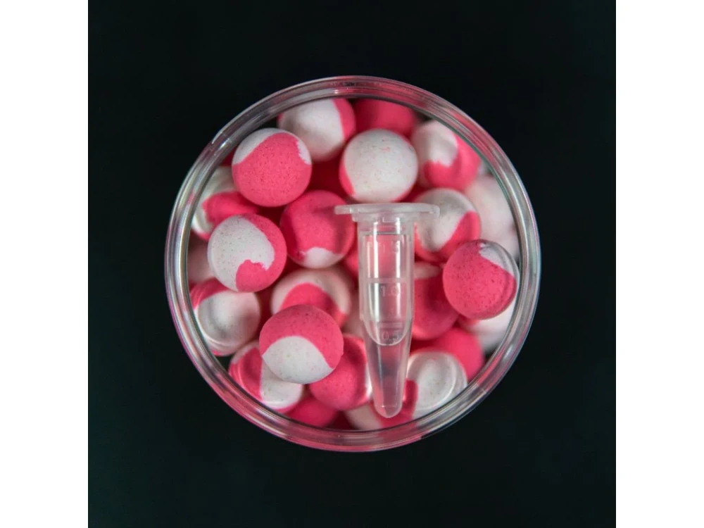 Squat Carp Pop-Up Strawberry Lollipop 16mm 60g