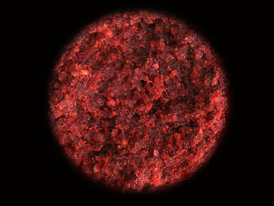 Sportcarp boilies Mulberry Garlic