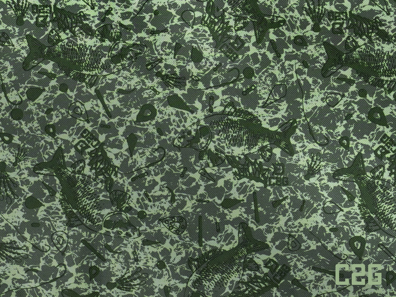 Delphin Taška CarryALL SPACE C2G L