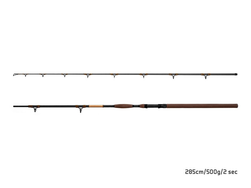 Delphin Sumcový prut SymbolCAT Bronze 285cm 500g