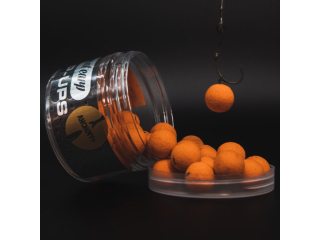 Squat Carp Pop-up Anchovy+ 16mm 60g