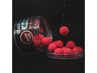 Squat Carp Pop-up Big Boss 16mm 60g