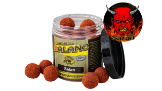 CSV Balanc Boilies 20mm 120g