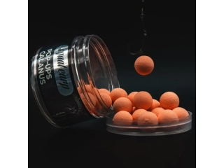Squat Carp Pop-Up Calanus 16mm 60g